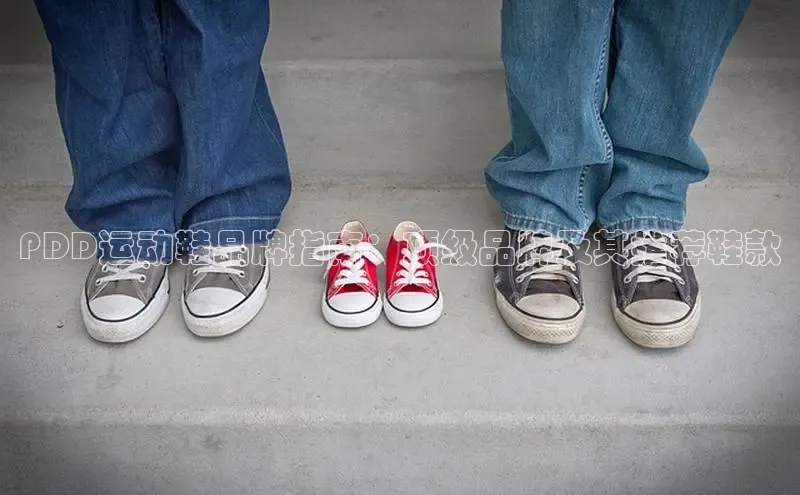 意昂体育3娱乐用176五八27从颐驰 06PDD运动鞋品牌指南：顶级品牌及其推荐鞋款