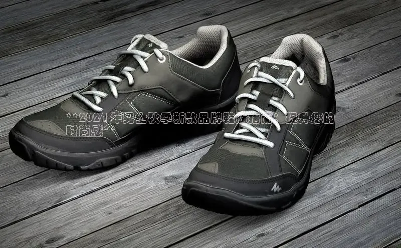 意昂体育3娱乐用176五八27从每日互动**2024 年男士秋季新款品牌鞋履指南：提升您的
时尚感**