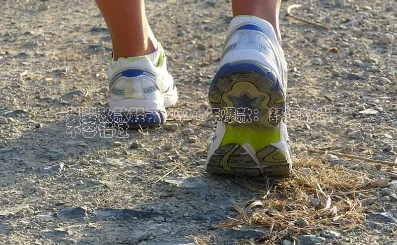 意昂3登陆入口ARGA公司男婴秋款鞋子 2024 年爆款：舒适时尚
不容错过