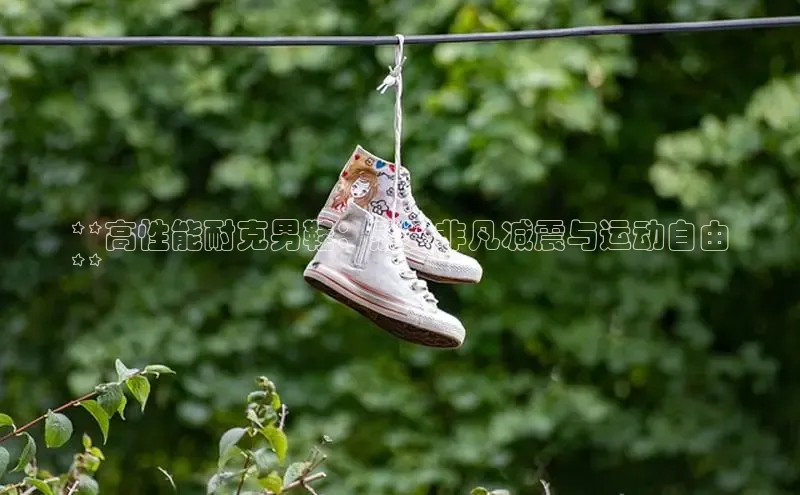 意昂3登陆入口即登录知乎**高性能耐克男鞋：感受非凡减震与运动自由
**