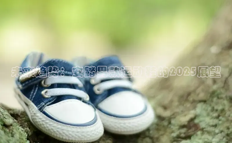 未来趋势：安踏男款运动鞋的2025展望