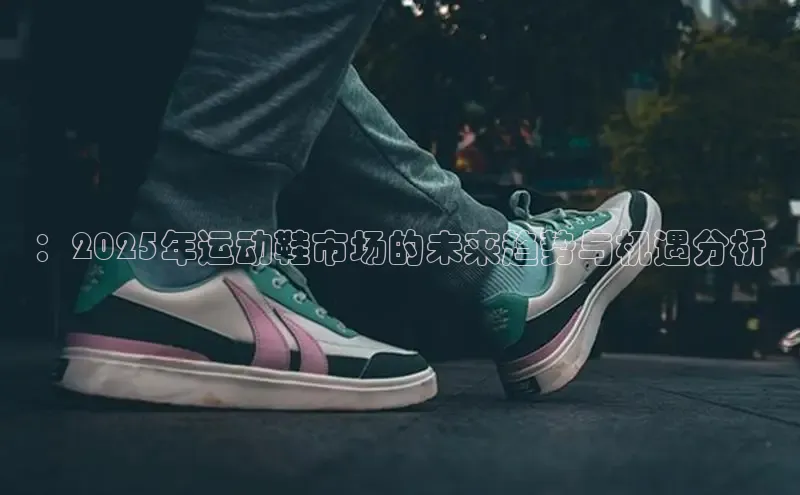：2025年运动鞋市场的未来趋势与机遇分析